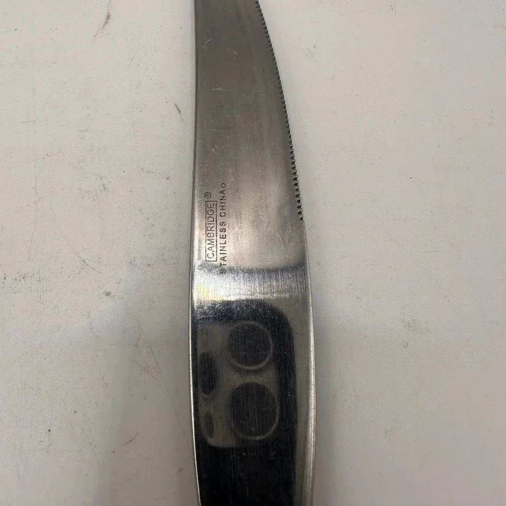 Cambridge Landscape Silversmiths Stainless Steel Dinner Knife Grid Pattern 9